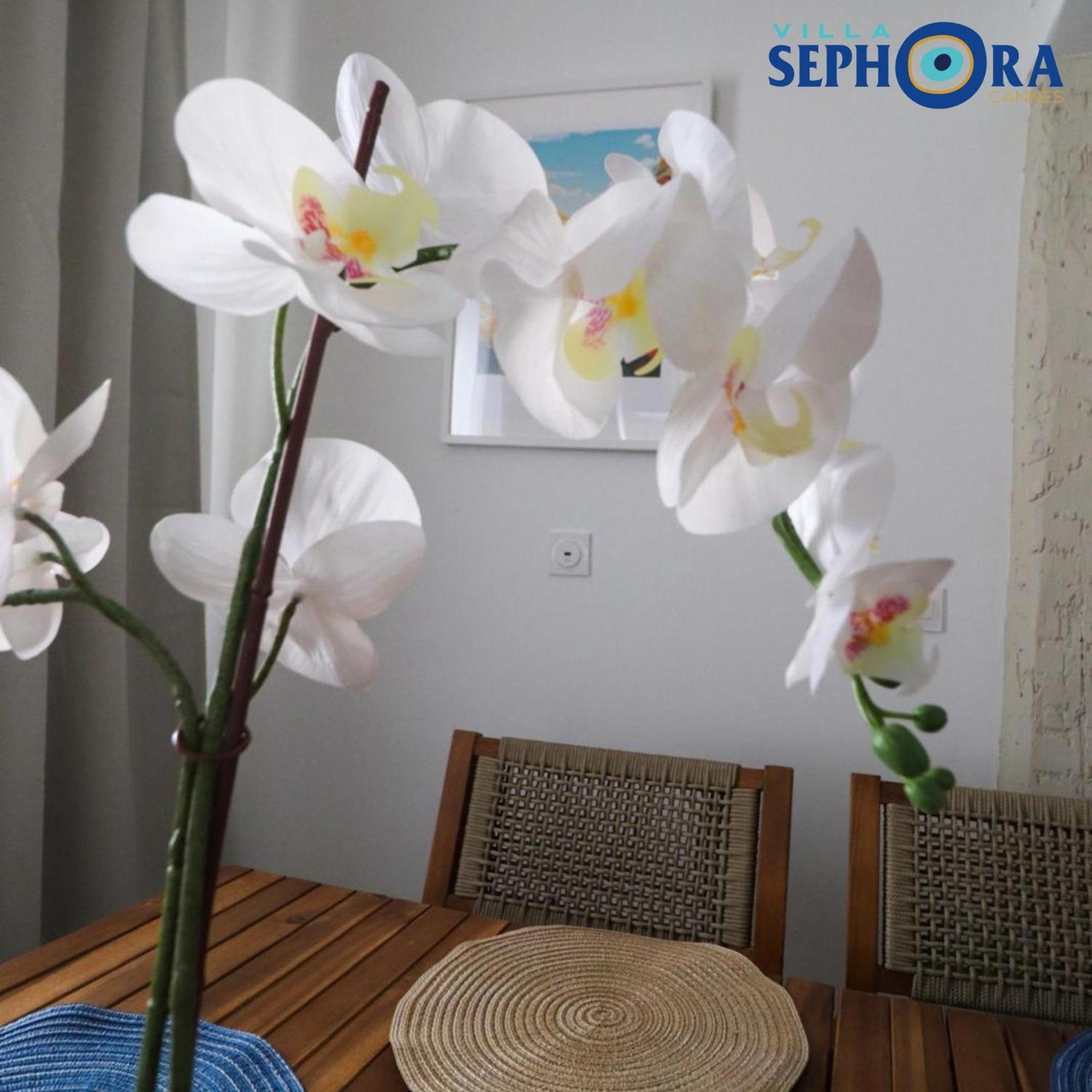 Villa Sephora Cannes Buitenkant foto
